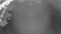 Archiv Foto Webcam Segelhafen Waginger See 01:00