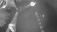 Archiv Foto Webcam Segelhafen Waginger See 01:00