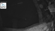 Archiv Foto Webcam Mellau im Bregenzerwald 23:00