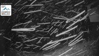 Archiv Foto Webcam Mellau im Bregenzerwald 01:00