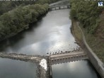 Archived image Webcam Lake Eder: Catch Basin 06:00