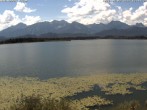 Archiv Foto Webcam Restaurant Fischerhütte am Hopfensee 11:00