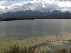 Archiv Foto Webcam Restaurant Fischerhütte am Hopfensee 17:00
