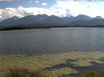 Archiv Foto Webcam Restaurant Fischerhütte am Hopfensee 17:00