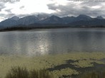 Archiv Foto Webcam Restaurant Fischerhütte am Hopfensee 07:00
