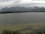 Archiv Foto Webcam Restaurant Fischerhütte am Hopfensee 11:00