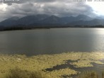 Archived image Webcam Hopfensee: View from Restaurant Fischerhütte 17:00