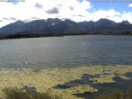 Archiv Foto Webcam Restaurant Fischerhütte am Hopfensee 11:00