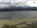 Archiv Foto Webcam Restaurant Fischerhütte am Hopfensee 15:00