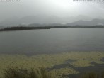 Archiv Foto Webcam Restaurant Fischerhütte am Hopfensee 06:00