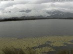 Archiv Foto Webcam Restaurant Fischerhütte am Hopfensee 09:00