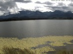 Archiv Foto Webcam Restaurant Fischerhütte am Hopfensee 11:00