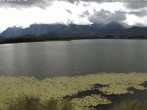 Archiv Foto Webcam Restaurant Fischerhütte am Hopfensee 13:00