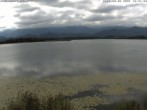 Archiv Foto Webcam Restaurant Fischerhütte am Hopfensee 11:00