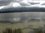 Archiv Foto Webcam Restaurant Fischerhütte am Hopfensee 13:00