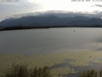 Archiv Foto Webcam Restaurant Fischerhütte am Hopfensee 17:00