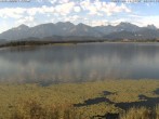 Archiv Foto Webcam Restaurant Fischerhütte am Hopfensee 07:00