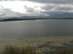 Archiv Foto Webcam Restaurant Fischerhütte am Hopfensee 05:00