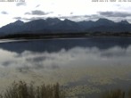 Archiv Foto Webcam Restaurant Fischerhütte am Hopfensee 11:00