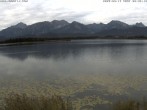 Archived image Webcam Hopfensee: View from Restaurant Fischerhütte 07:00