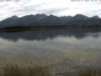 Archived image Webcam Hopfensee: View from Restaurant Fischerhütte 08:00