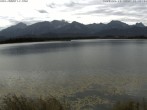 Archiv Foto Webcam Restaurant Fischerhütte am Hopfensee 11:00