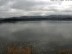 Archiv Foto Webcam Restaurant Fischerhütte am Hopfensee 11:00