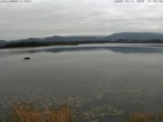 Archiv Foto Webcam Restaurant Fischerhütte am Hopfensee 13:00