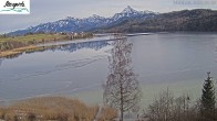 Archived image Webcam Weissensee near Füssen 13:00