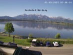 Archiv Foto Webcam Seehotel Hartung am Hopfensee 07:00