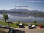 Archiv Foto Webcam Seehotel Hartung am Hopfensee 09:00