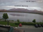 Archiv Foto Webcam Seehotel Hartung am Hopfensee 19:00
