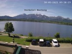 Archiv Foto Webcam Seehotel Hartung am Hopfensee 09:00