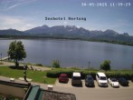 Archiv Foto Webcam Seehotel Hartung am Hopfensee 11:00