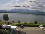 Archiv Foto Webcam Seehotel Hartung am Hopfensee 09:00