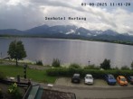 Archiv Foto Webcam Seehotel Hartung am Hopfensee 11:00