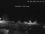 Archiv Foto Webcam Seehotel Hartung am Hopfensee 03:00