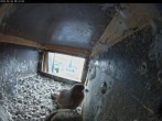 Archiv Foto Webcam Aachener Dom: Blick auf die Falken im Westturm 07:00