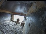 Archiv Foto Webcam Aachener Dom: Blick auf die Falken im Westturm 09:00
