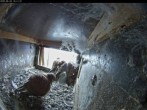 Archiv Foto Webcam Aachener Dom: Blick auf die Falken im Westturm 15:00