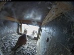 Archiv Foto Webcam Aachener Dom: Blick auf die Falken im Westturm 17:00