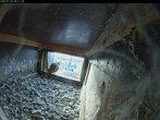 Archiv Foto Webcam Aachener Dom: Blick auf die Falken im Westturm 05:00