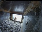 Archiv Foto Webcam Aachener Dom: Blick auf die Falken im Westturm 13:00