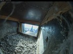 Archiv Foto Webcam Aachener Dom: Blick auf die Falken im Westturm 06:00