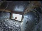 Archived image Webcam Aachen Cathedral: View Hawks 07:00