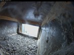 Archiv Foto Webcam Aachener Dom: Blick auf die Falken im Westturm 06:00