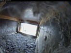 Archiv Foto Webcam Aachener Dom: Blick auf die Falken im Westturm 11:00