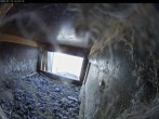 Archiv Foto Webcam Aachener Dom: Blick auf die Falken im Westturm 13:00