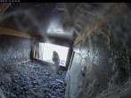 Archiv Foto Webcam Aachener Dom: Blick auf die Falken im Westturm 15:00