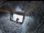 Archived image Webcam Aachen Cathedral: View Hawks 17:00